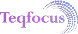 Teqfocus Consulting LLC